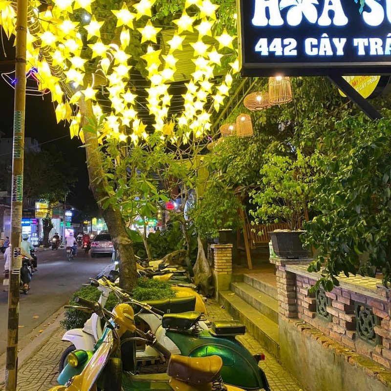 Đèn Lồng Nhựa Xuyên Sáng Trang Trí Sân Vườn — đèn nhựa xuyên sáng Tân Phú, TP.HCM | LongDenViet